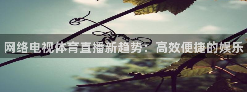 nba833直播：网络电视体育直播新趋势：高效便捷的娱乐