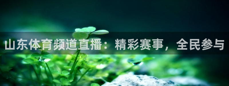 833足球比赛直播免费观看：山东体育频道直播：精彩赛事，全民参与