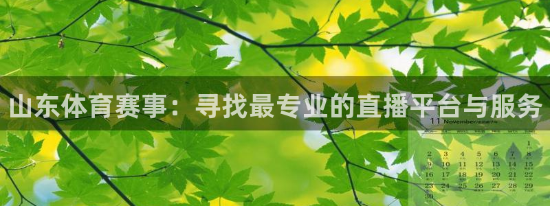 833体育免费直播入口：山东体育赛事：寻找最专业的直播平台与服务